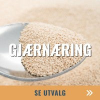 Gjærnæring