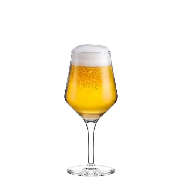 Craft Beer Glass 40cl 6stk - Stölzle Lausits