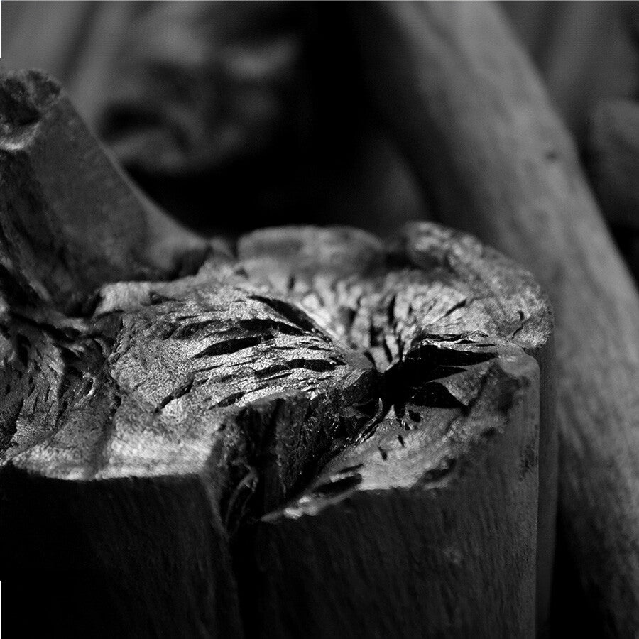 Nærbilde i svart-hvitt av BBQ Flavour Binchotan White Eucalyptus 1 Grill Session 1 kg, som viser den grove strukturen, de dype rillene og sprekkene i grillkullet.